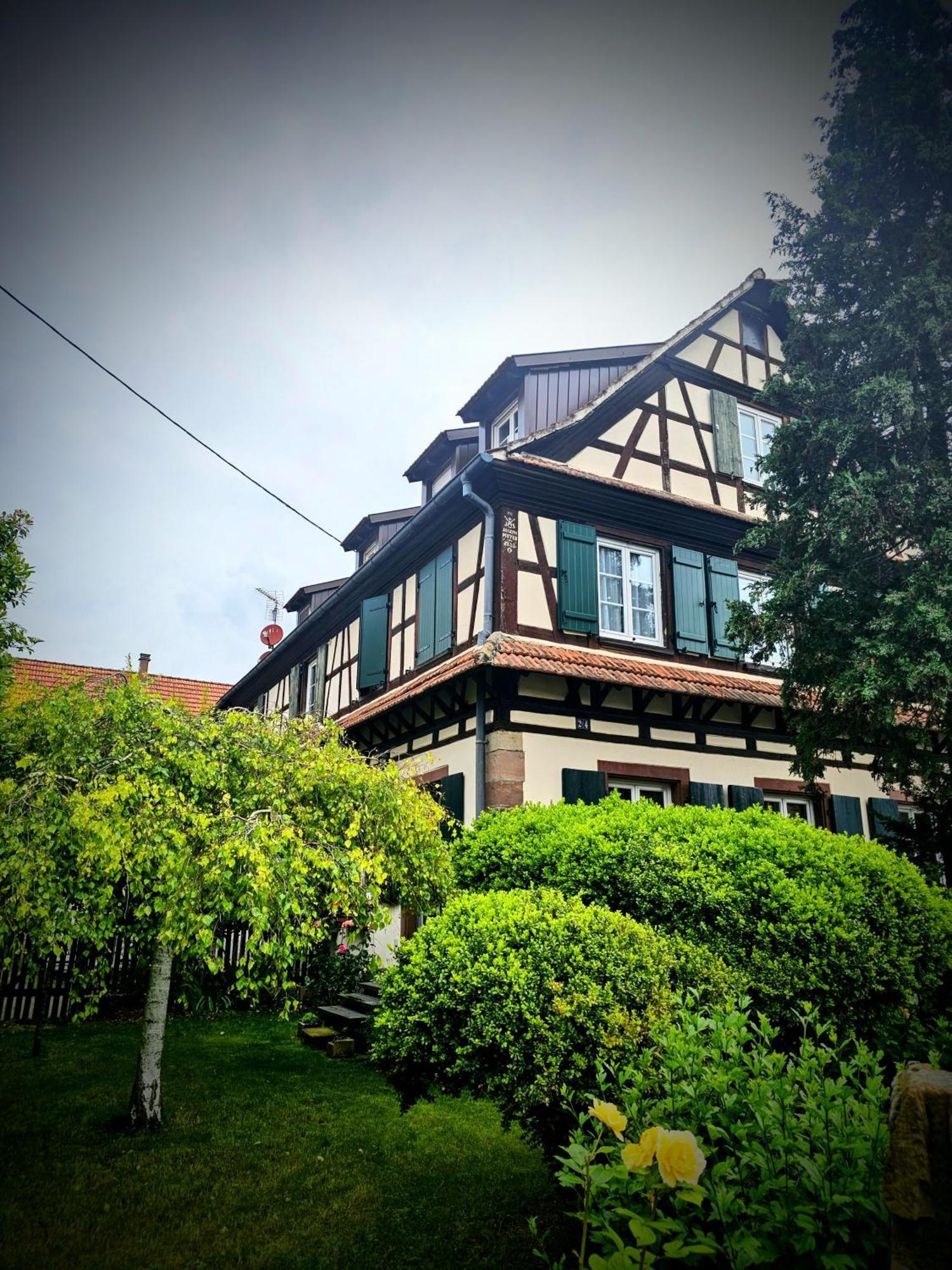 Le Nid Alsacien Apartment Hindisheim Ngoại thất bức ảnh